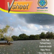 VSheet Newsletter 12